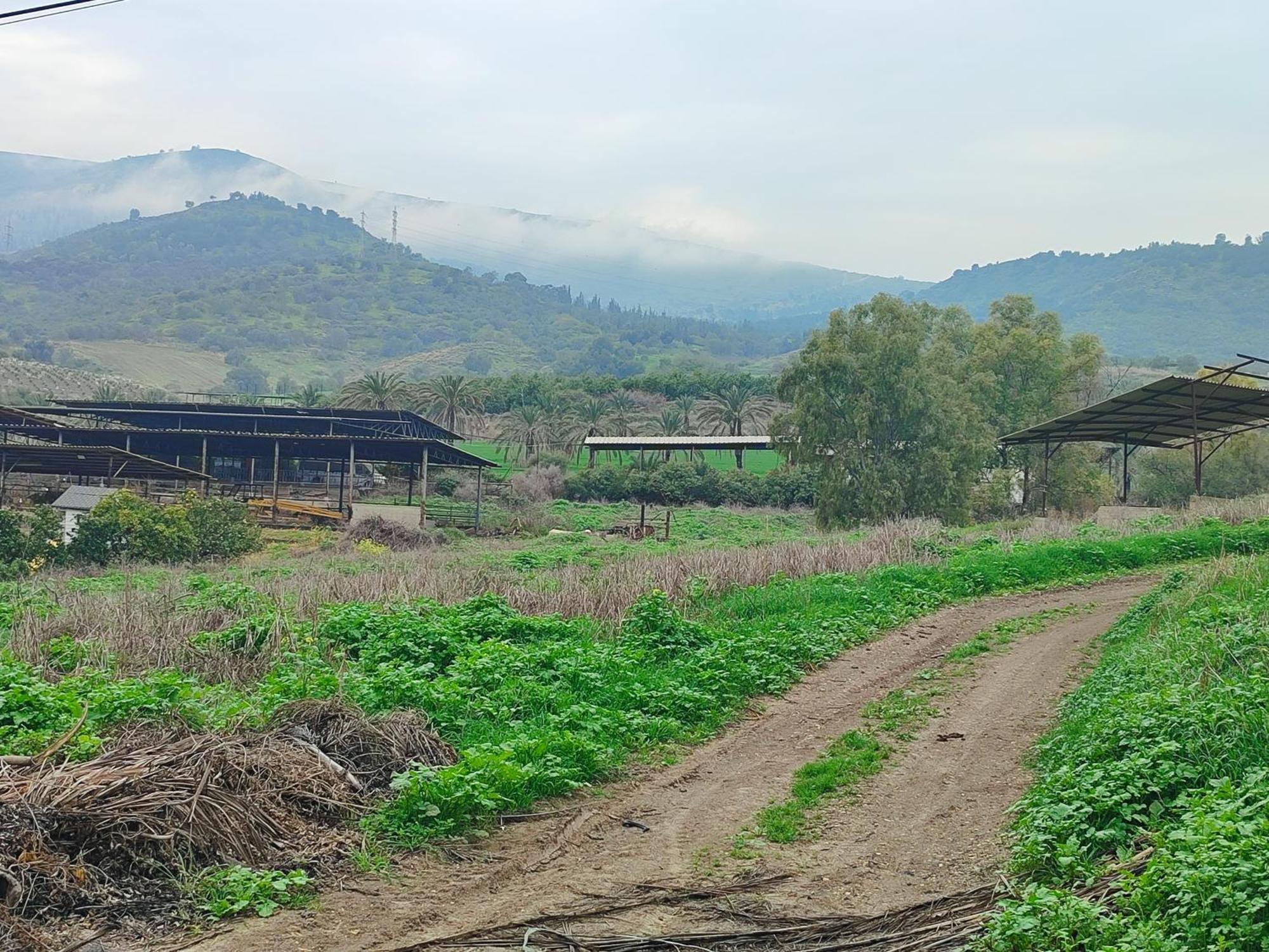 Family Cabin Menahemya Ngoại thất bức ảnh